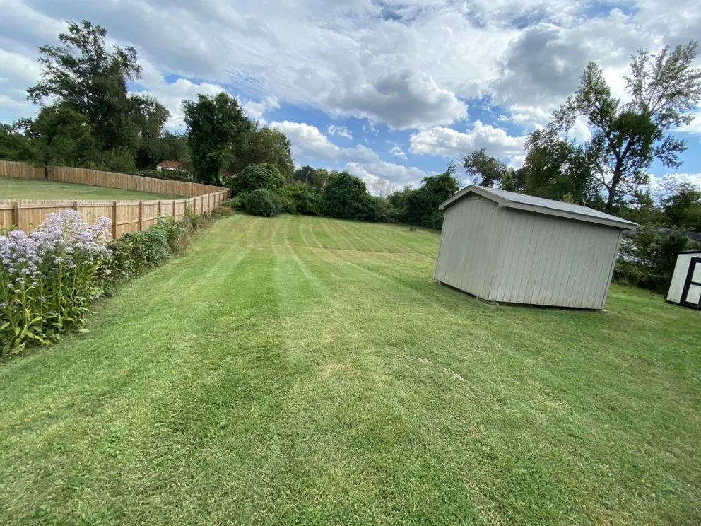 Top-rated yard cleanup service experts serving Randleman, NC - BrightStars Landscaping