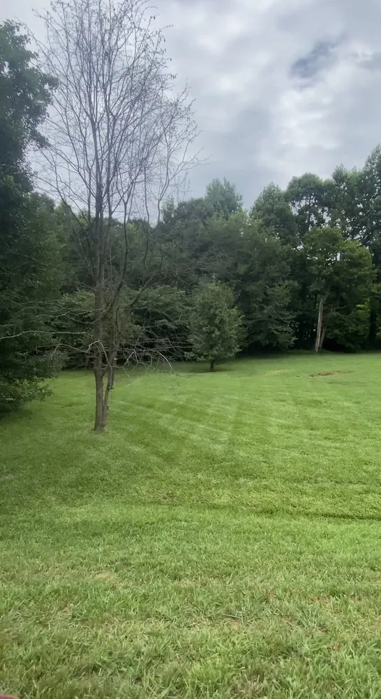 Reliable yard cleanup service for homes in Randleman, NC by BrightStars Landscaping