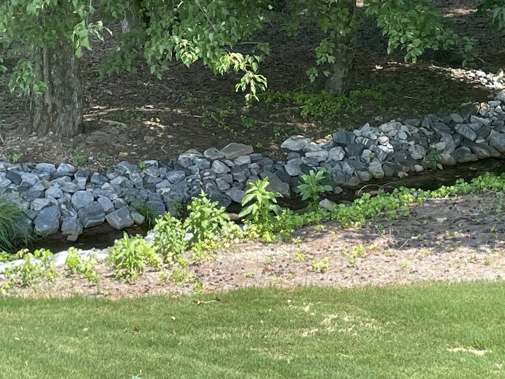 Trusted yard cleanup service for year-round maintenance in Atlanta, GA by Brightview