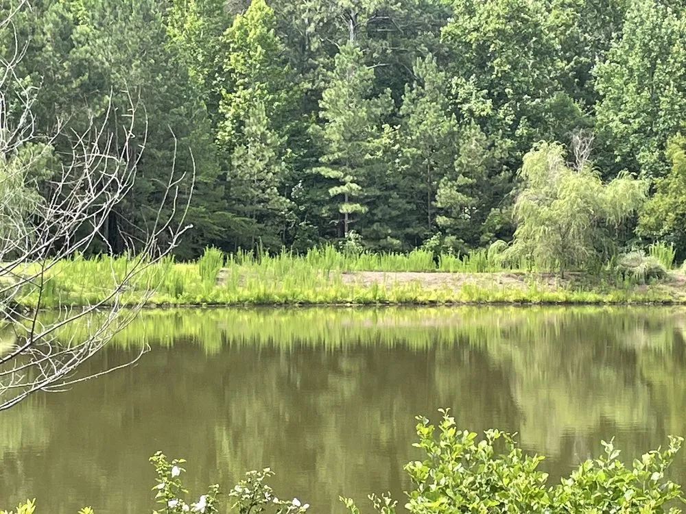 Trusted garden landscaping for beautiful yards across Atlanta, GA - Brightview