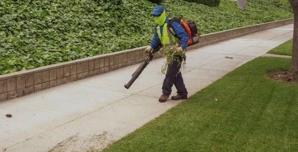 Local residential landscaping for outdoor upgrades in Blue Bell, PA by BrightView