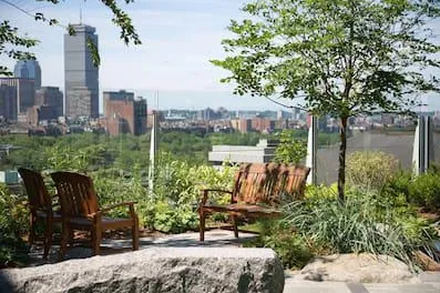 Local garden landscaping for homes in Chantilly, VA by BrightView