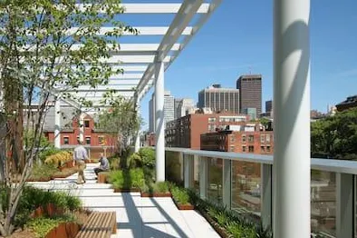 Local residential landscaping in Chantilly, VA by BrightView