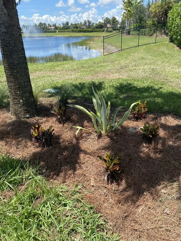 Top-rated outdoor landscaping in Fort Myers, FL by BrightView