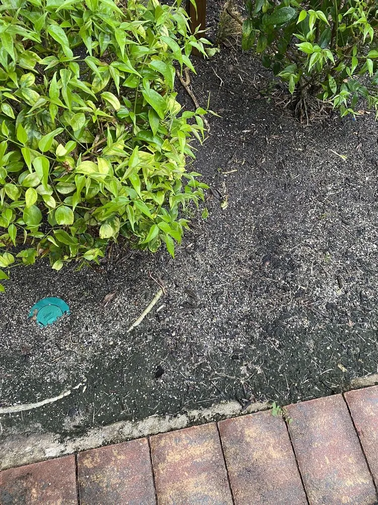 Reliable landscape design in Fort Myers, FL by BrightView