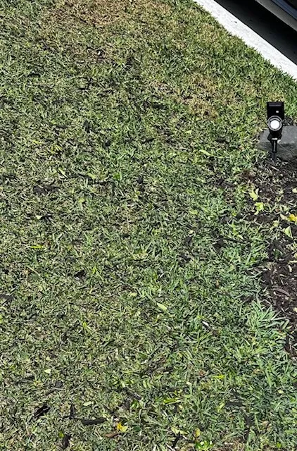 Top-rated landscape design experts serving Fort Myers, FL - BrightView