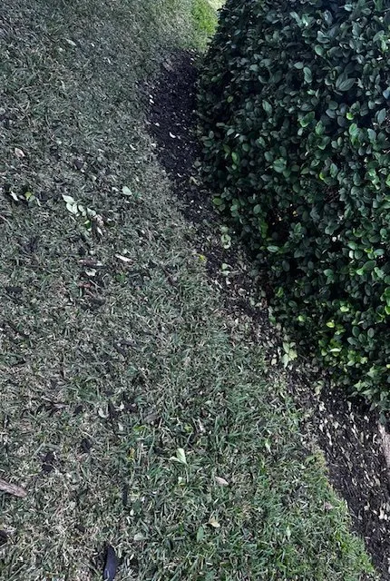 Custom landscape design in Fort Myers, FL by BrightView