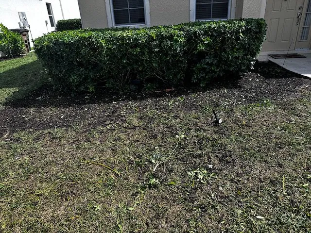 Professional outdoor landscaping in Fort Myers, FL - BrightView