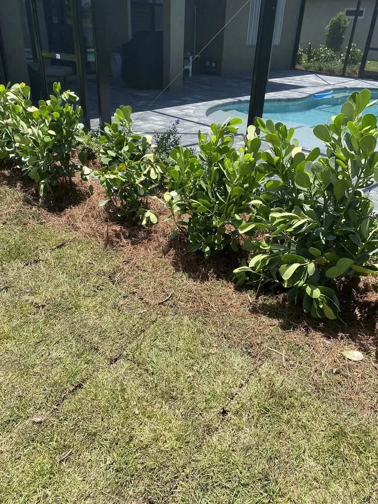 Top-rated landscape design experts serving Fort Myers, FL - BrightView