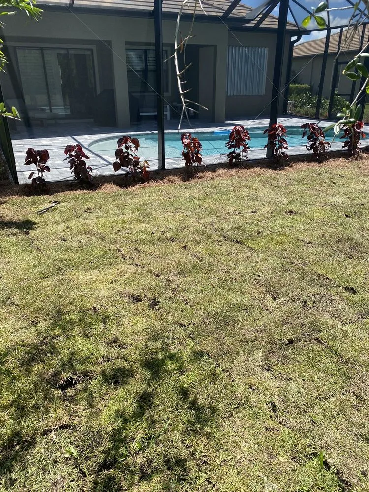 Local lawn care service for year-round maintenance across Fort Myers, FL - BrightView