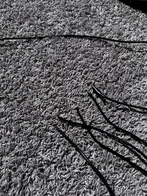 Trusted landscaping services with custom design across Fort Myers, FL - BrightView