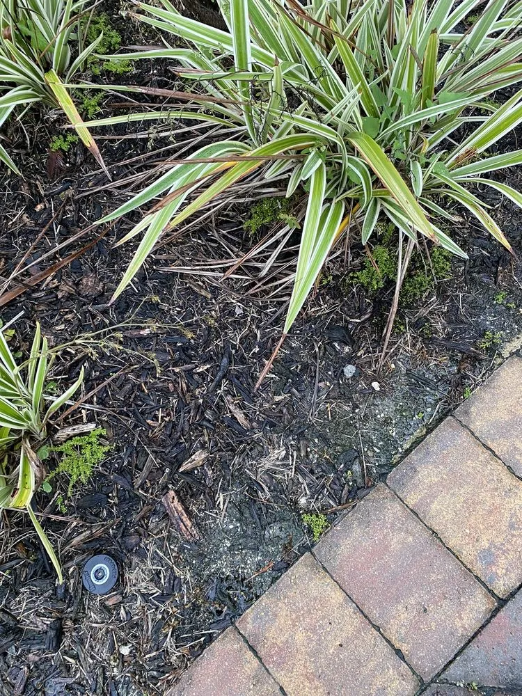 Expert landscape installation in Fort Myers, FL by BrightView