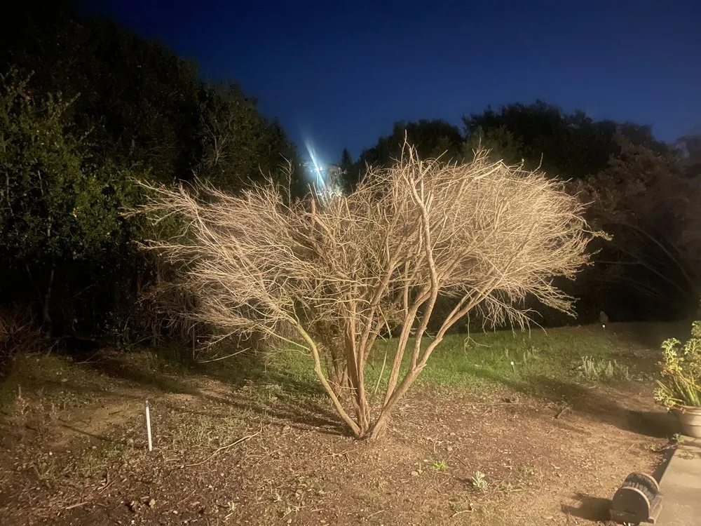 Expert garden landscaping in Hayward, CA - BrightView