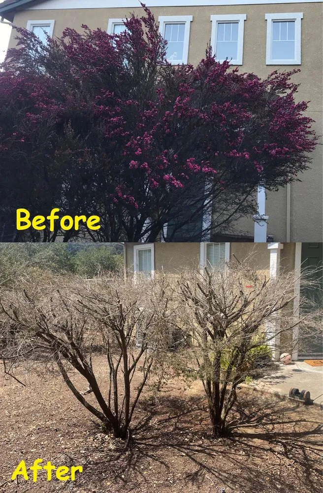 Affordable garden landscaping near you in Hayward, CA by BrightView