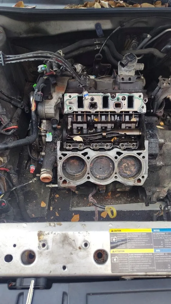 Local lawn care service in Bradenton, FL by BrightView Landscape Services