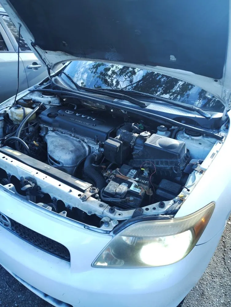 Expert yard maintenance with custom design across Bradenton, FL - BrightView Landscape Services