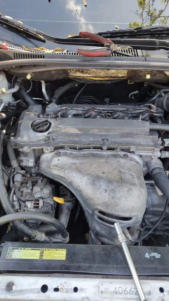 Custom garden landscaping for residential properties across Bradenton, FL - BrightView Landscape Services