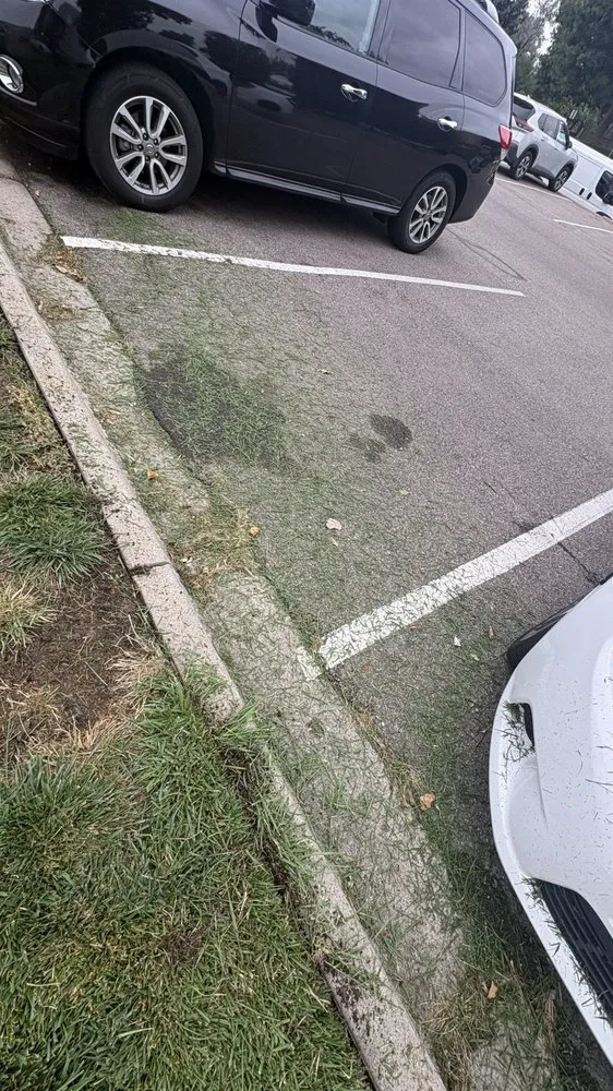 Trusted outdoor landscaping in Denver, CO - BrightView Landscape Services