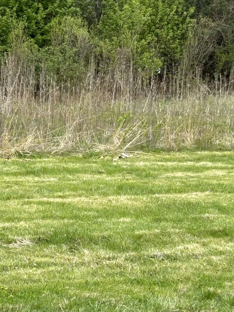 Top-rated landscape design for year-round maintenance in Long Grove, IL by BrightView Landscape Services