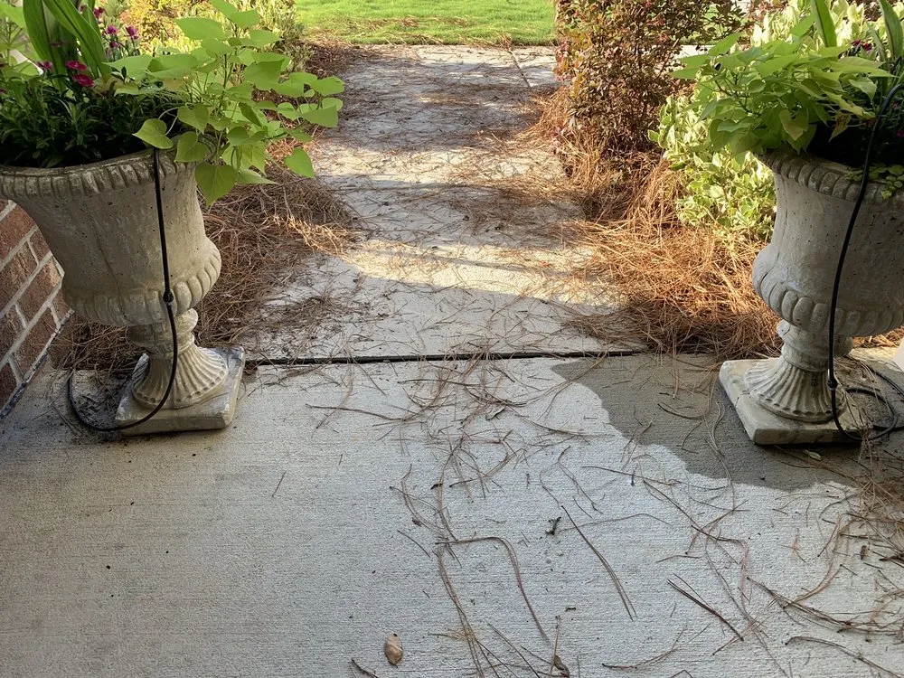 Custom yard cleanup service in North Charleston, SC by BrightView Landscape Services