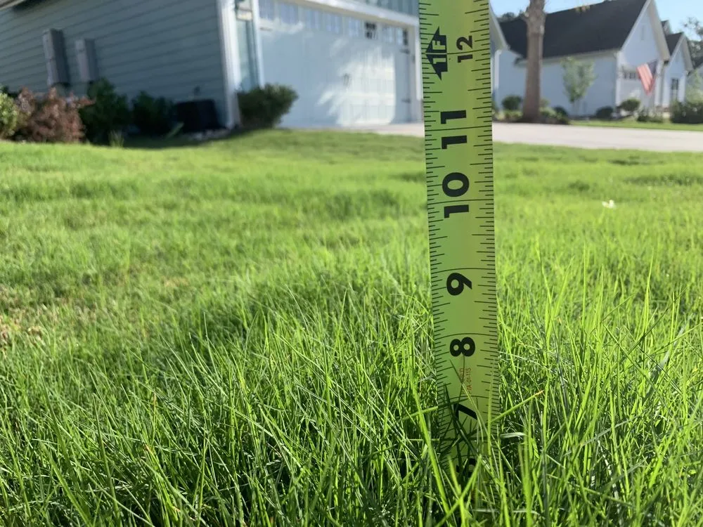 Expert residential landscaping in North Charleston, SC - BrightView Landscape Services