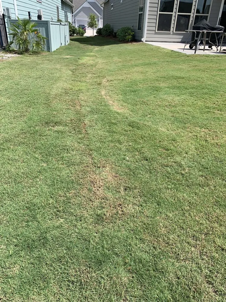 Professional yard maintenance in North Charleston, SC - BrightView Landscape Services