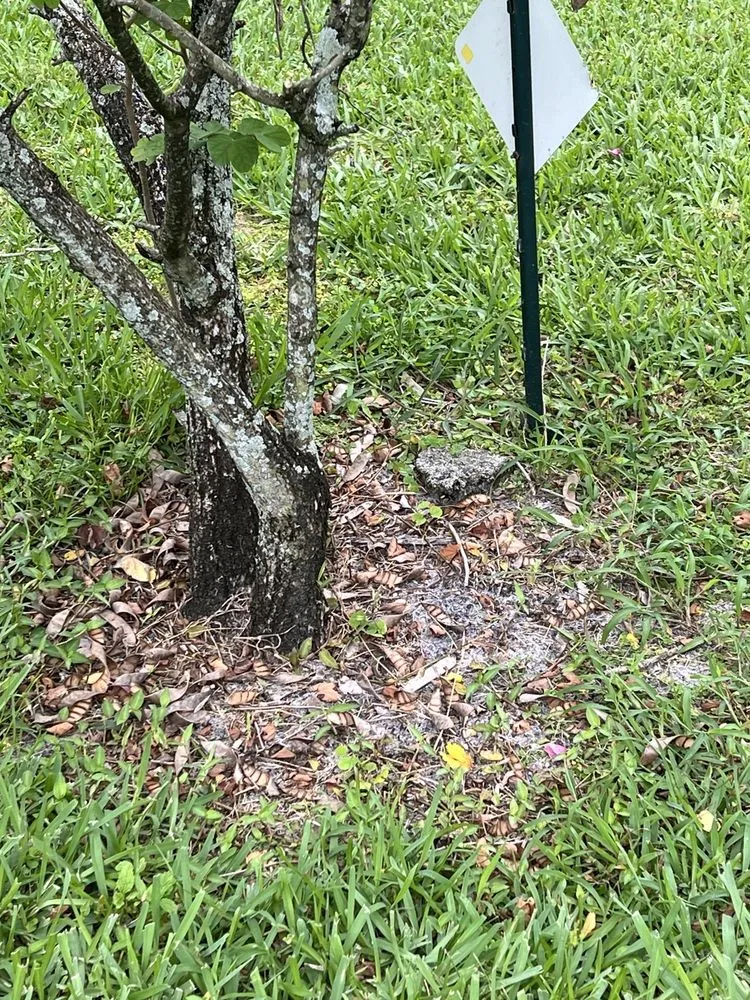 Top-rated outdoor landscaping for residential properties in West Palm Beach, FL by BrightView Landscape Services