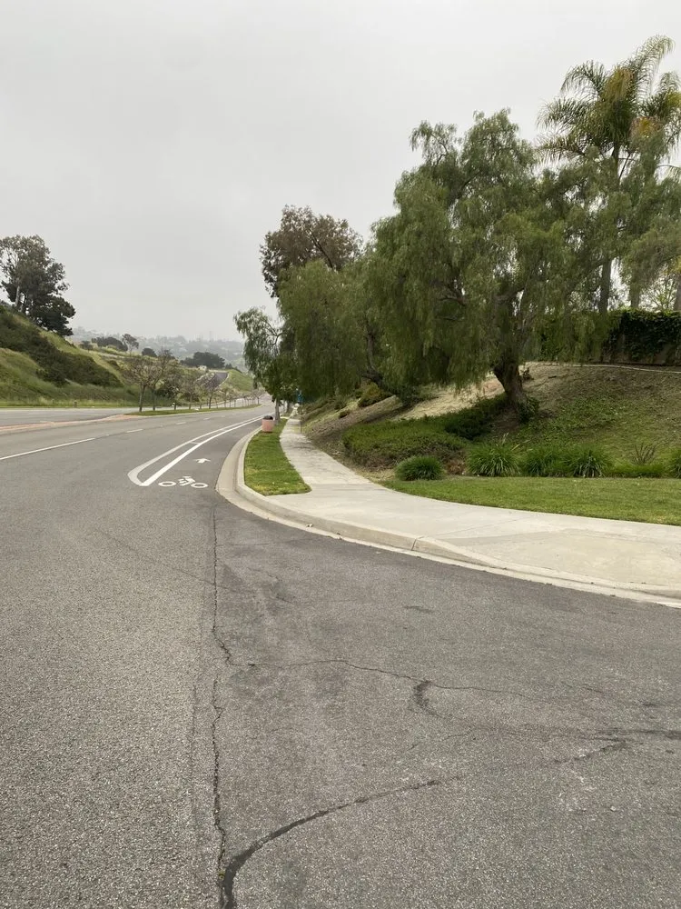 Trusted outdoor landscaping in Carlsbad, CA - BrightView Landscapes