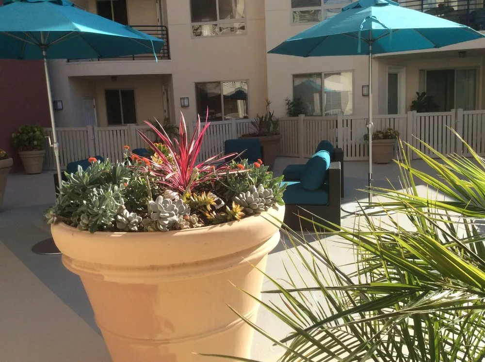 Local landscaping services in National City, CA - BrightView Landscapes