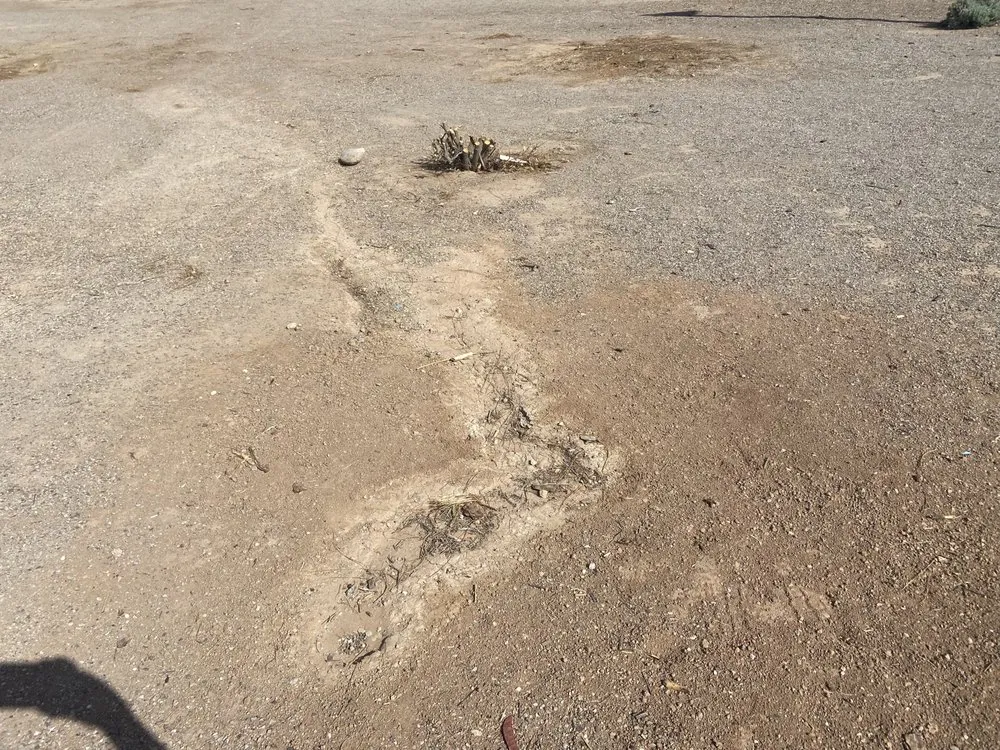 Local landscape installation near you across Phoenix, AZ - BrightView Landscapes