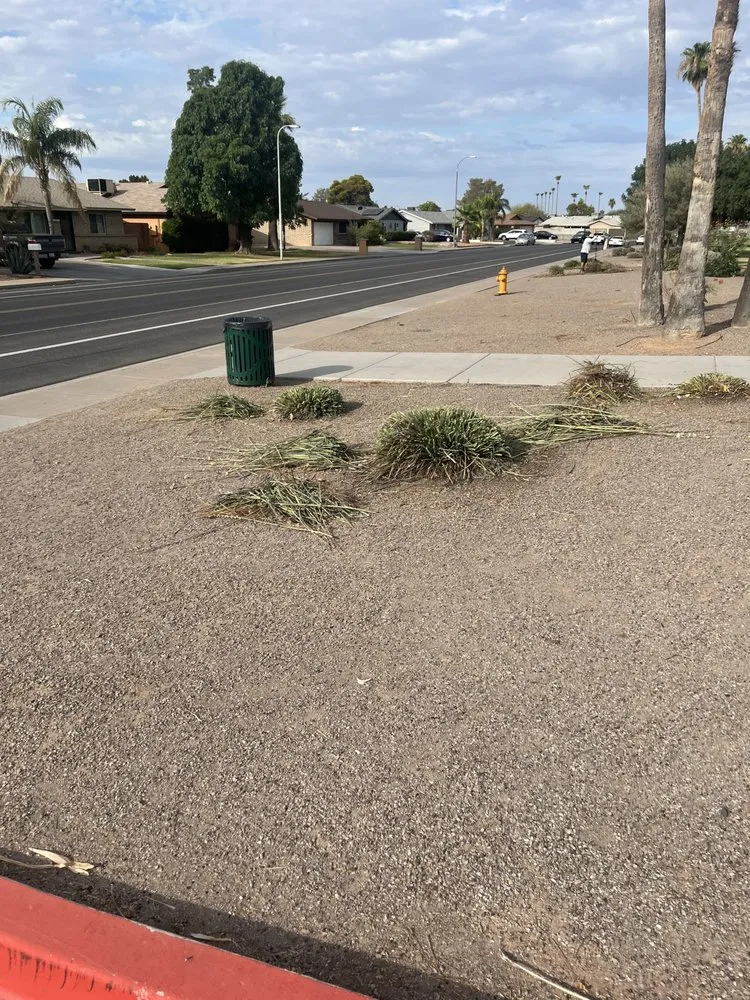 Reliable outdoor landscaping in Phoenix, AZ - BrightView Landscapes