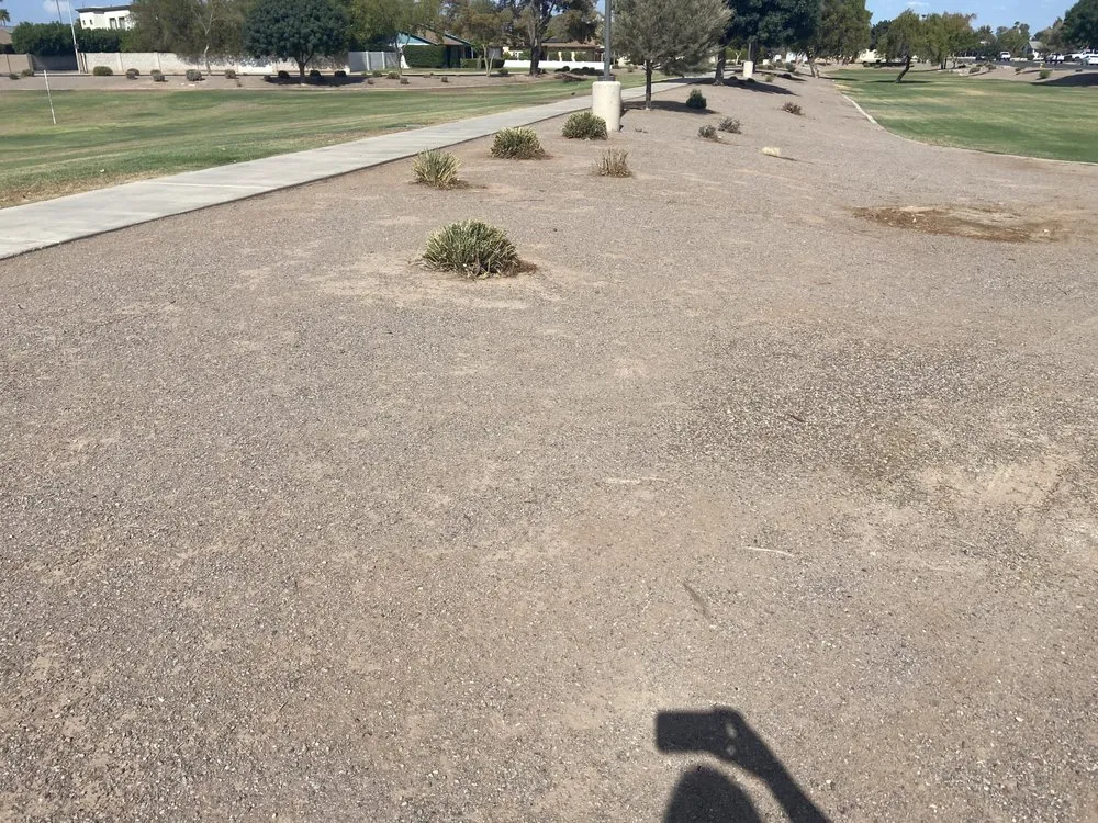 Custom lawn care service in Phoenix, AZ - BrightView Landscapes