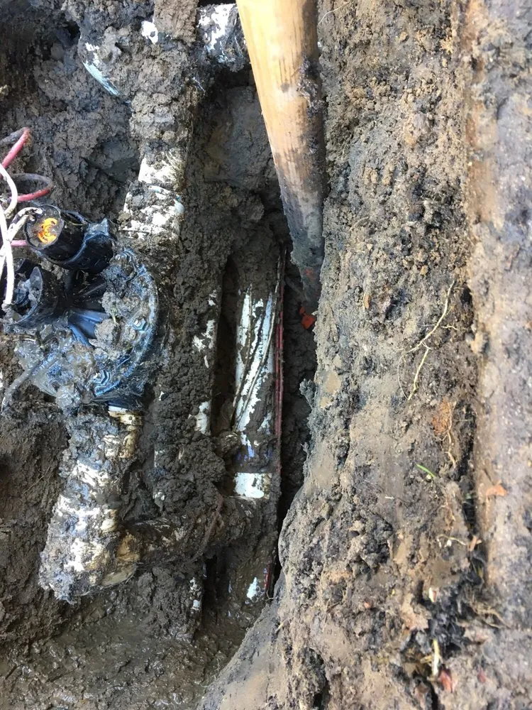 Top-rated lawn care service experts serving Sacramento, CA - BrightView Landscapes