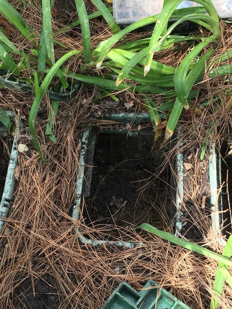 Reliable landscape design near you across Sacramento, CA - BrightView Landscapes