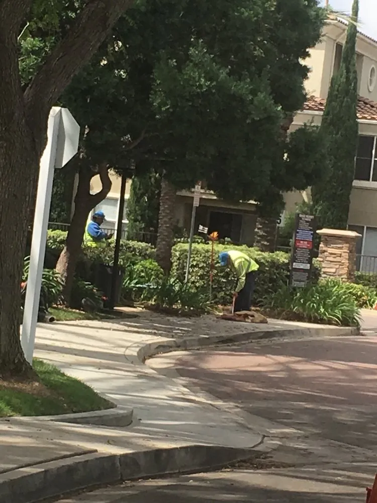 Reliable garden landscaping for homes in Sacramento, CA by BrightView Landscapes