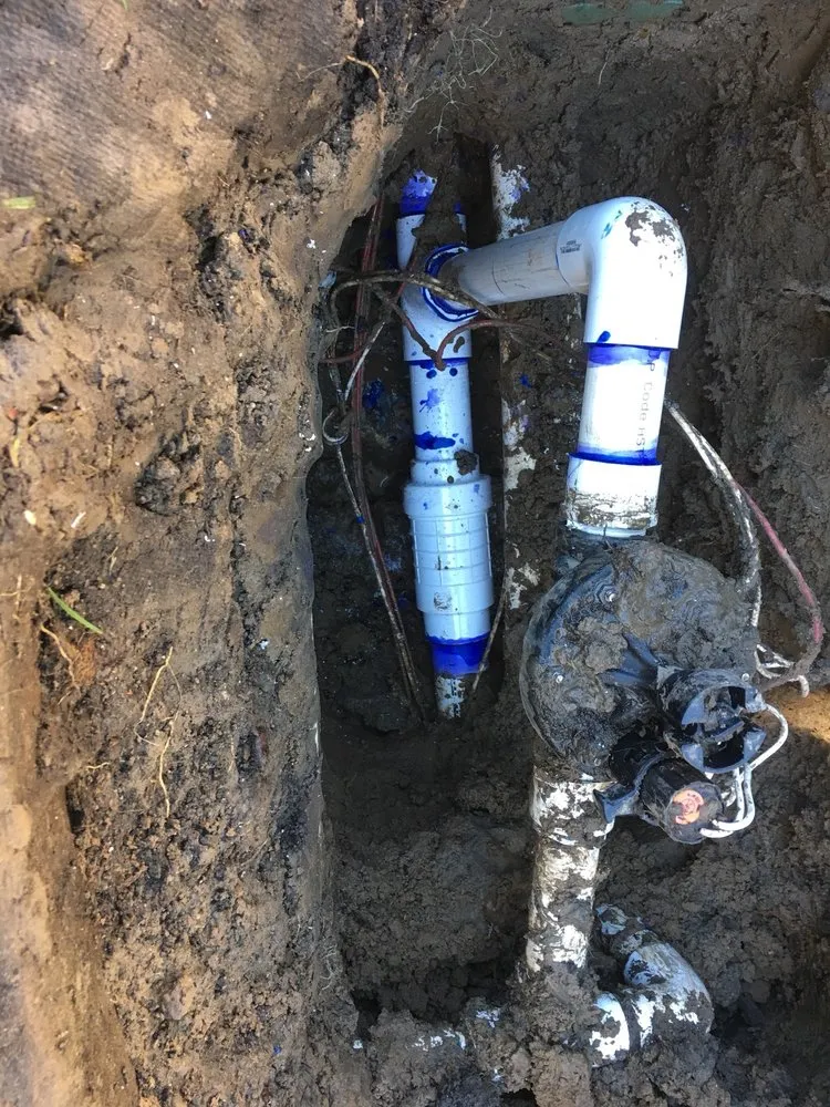 Professional residential landscaping in Sacramento, CA by BrightView Landscapes