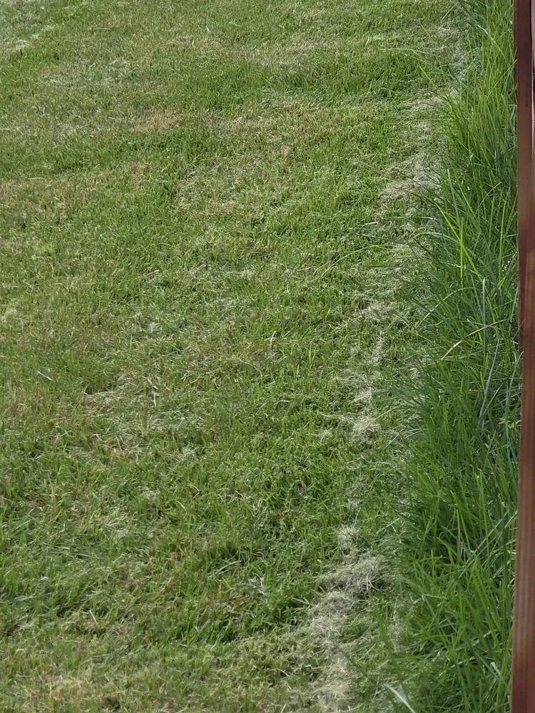 Affordable landscape installation for residential properties across Woodbridge, VA - BrightView Landscapes