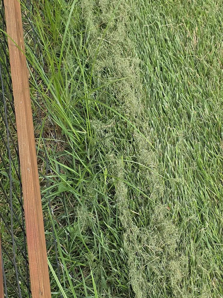 Expert yard cleanup service for outdoor upgrades across Woodbridge, VA - BrightView Landscapes