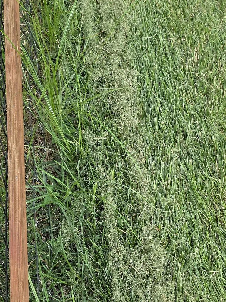 Expert yard maintenance near you in Woodbridge, VA by BrightView Landscapes