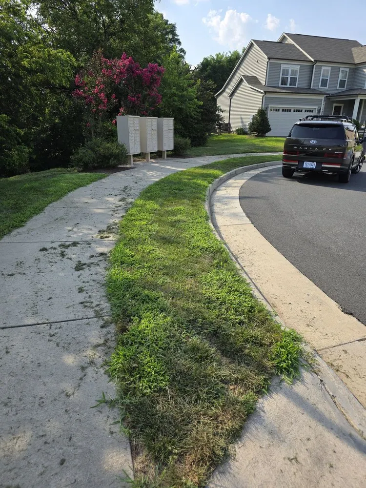 Custom yard cleanup service with custom design in Woodbridge, VA by BrightView Landscapes