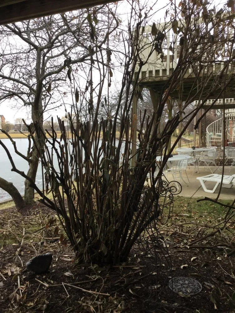 Expert yard maintenance in East Dundee, IL by BrightView Landscaping Services