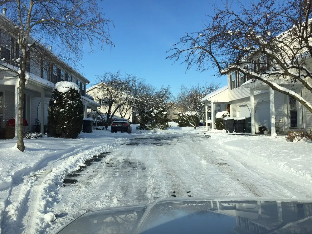 Local landscaping services in East Dundee, IL by BrightView Landscaping Services