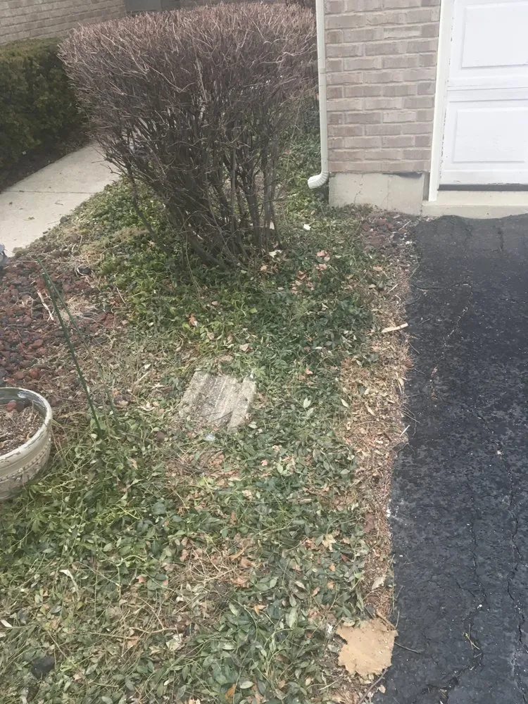 Reliable landscape installation experts serving East Dundee, IL - BrightView Landscaping Services