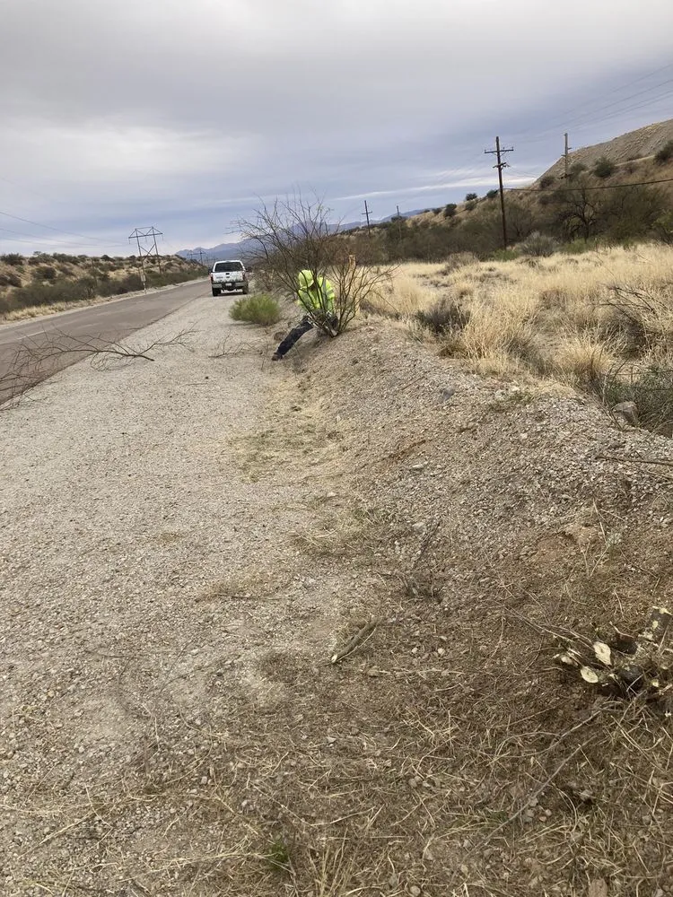 Reliable yard maintenance in Tucson, AZ by Brightview Landscaping