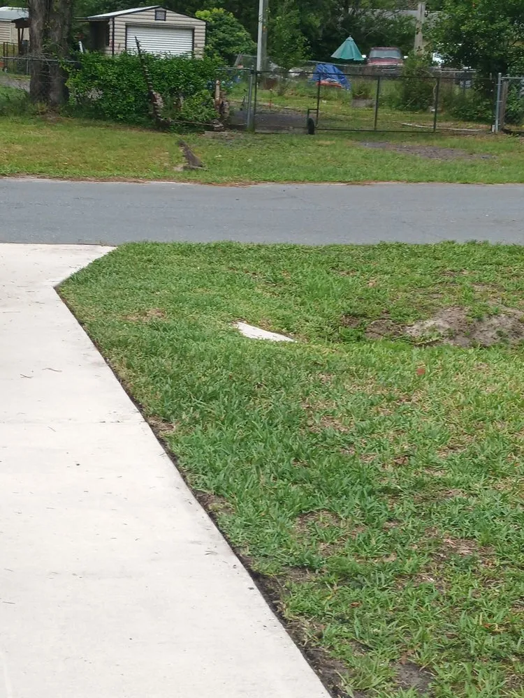 Affordable residential landscaping for year-round maintenance in Jacksonville, FL by Brightview Lawn Care