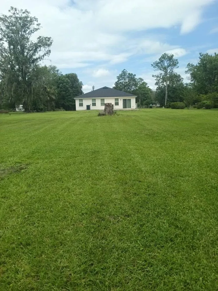 Professional yard cleanup service with custom design in Jacksonville, FL by Brightview Lawn Care