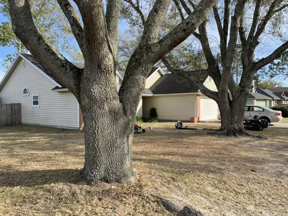 Professional garden landscaping experts serving Jacksonville, FL - Brightview Lawn Care