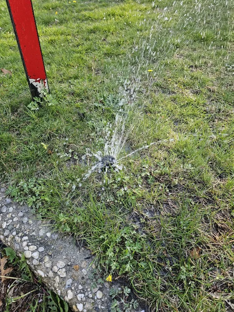 Custom residential landscaping experts serving Holbrook, NY - BRIGUGLIO QUALITY CUTS