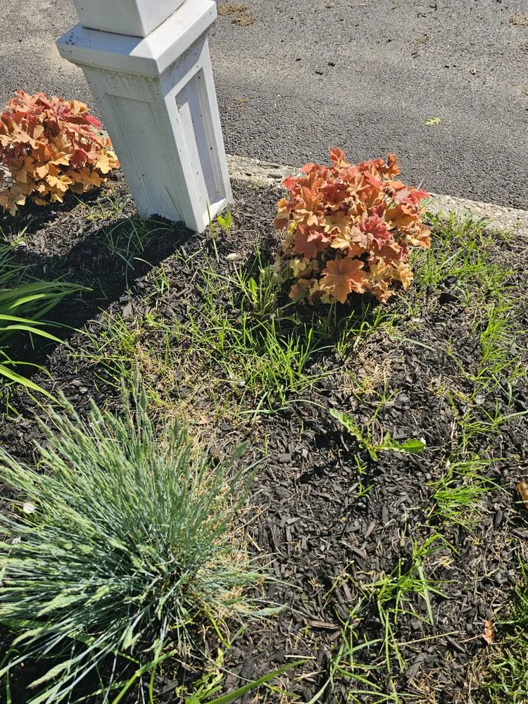 Top-rated lawn mowing service in Holbrook, NY by BRIGUGLIO QUALITY CUTS