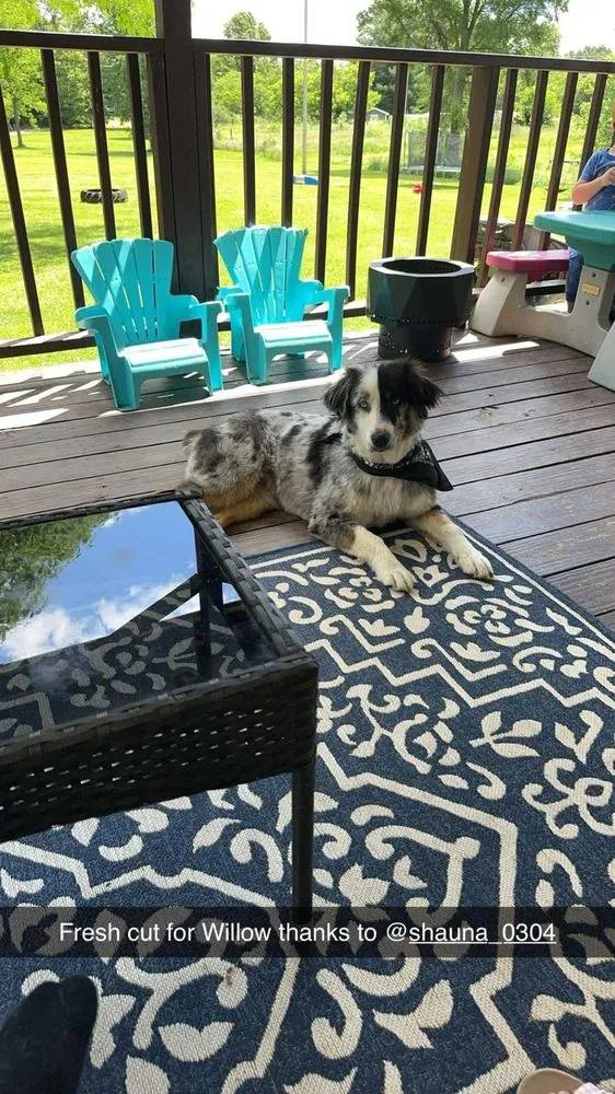 Expert lawn care service for outdoor upgrades in West Union, OH by Briley’s Diversified Services